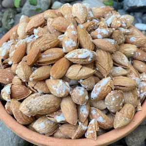 بادام کاغذی درشت سوپر (منقا)