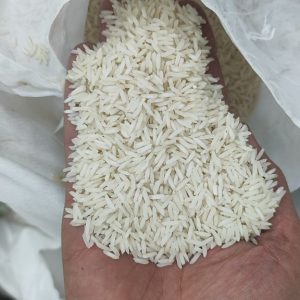 برنج شیرودی